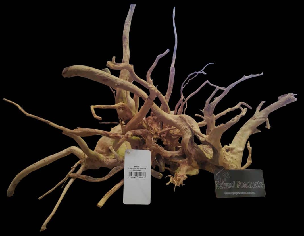 ASSORTED - AP Naturals Goldvine Wood (Medium)