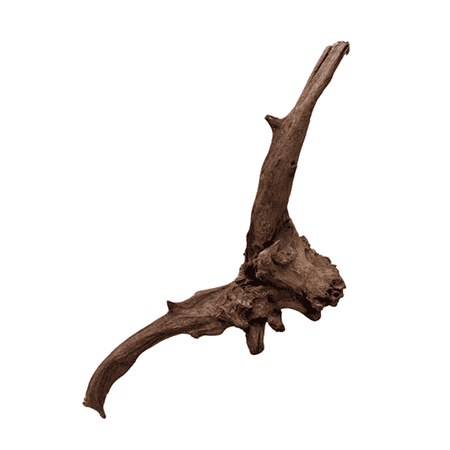 DYMAX DRIFT WOOD – XLARGE