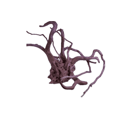 DYMAX TWEETY WOOD – SMALL