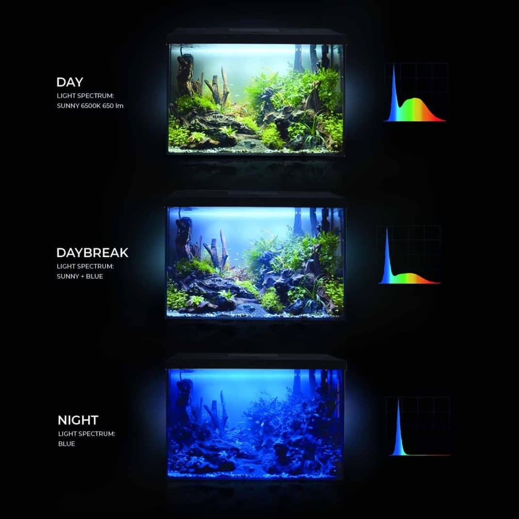 Aquael Leddy Day & Night 40 Black Aquarium Set