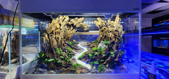 AQUASCAPING