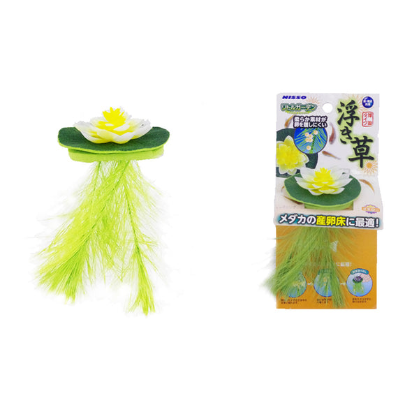 Nisso Floating Lily Yellow
