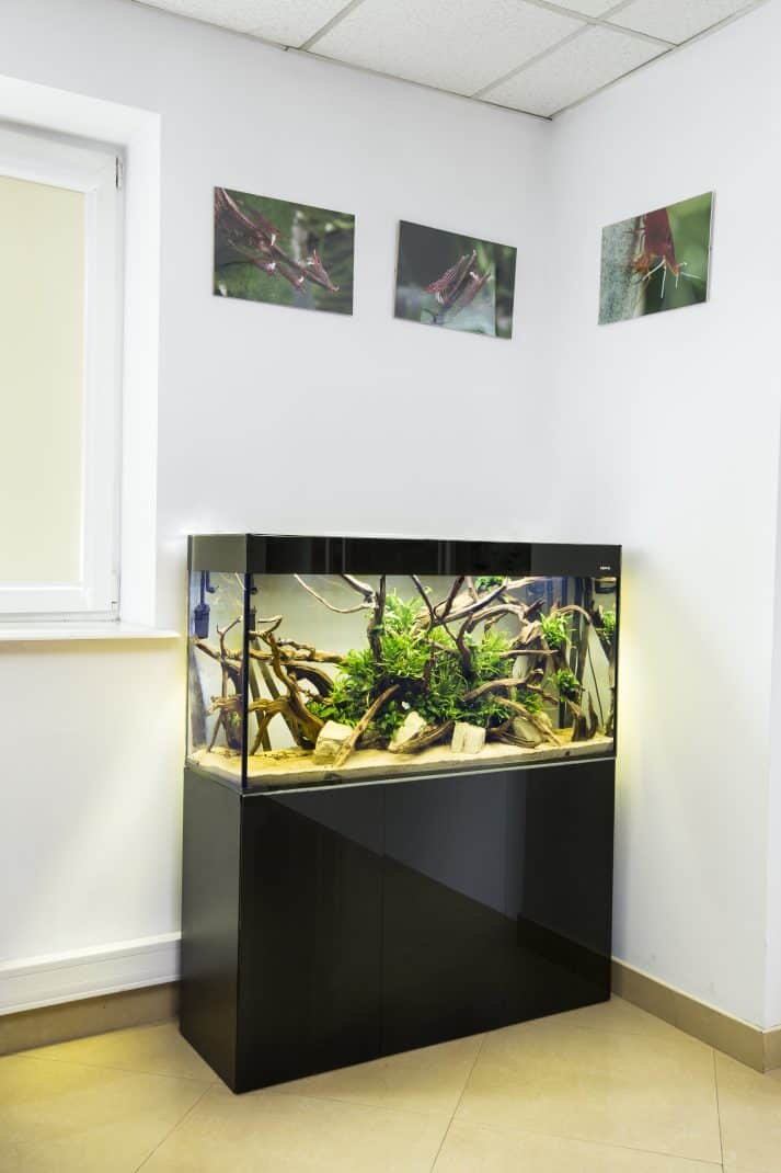 AQUAEL GLOSSY 150 BLACK PACKAGE.