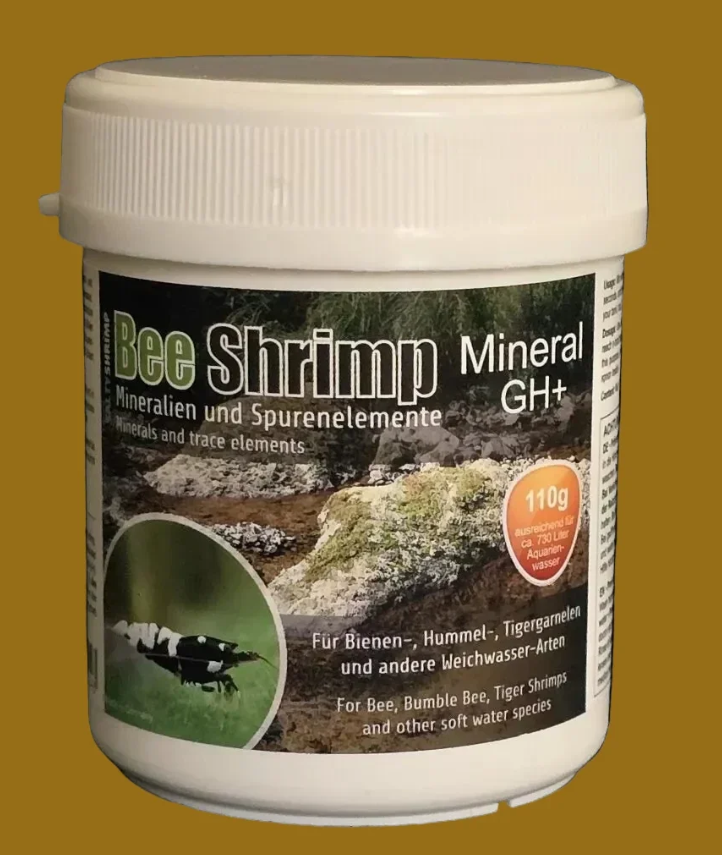 Salty Shrimp – Bee Shrimp GH+