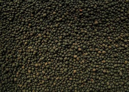 Nisso Custom BLACK Plant Soil 1KG
