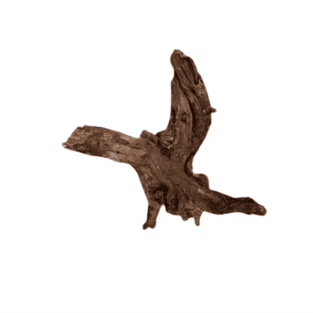 DYMAX DRIFT WOOD – MEDIUM