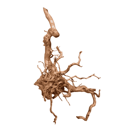 DYMAX TWEETY WOOD – LARGE