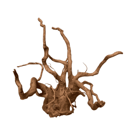 DYMAX TWEETY WOOD – MEDIUM