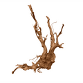 DYMAX TWEETY WOOD – XLARGE