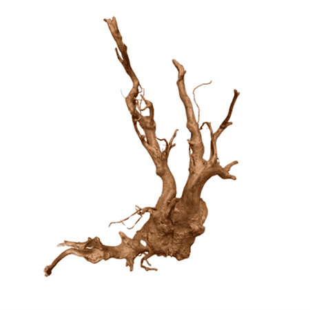 DYMAX TWEETY WOOD – XLARGE