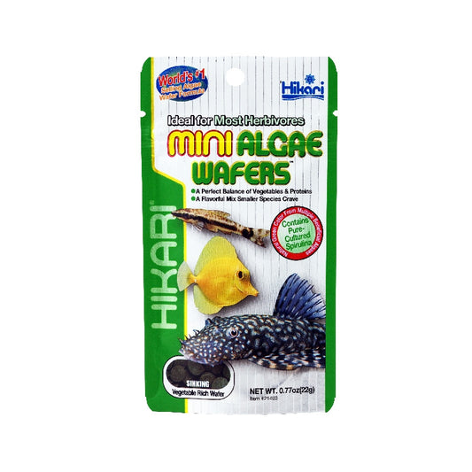 Hikari Mini Algae Wafers - 22g