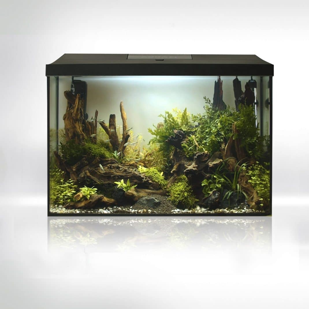 AQUAEL Leddy Day & Night 40XL Black Aquarium PICKUP ONLY