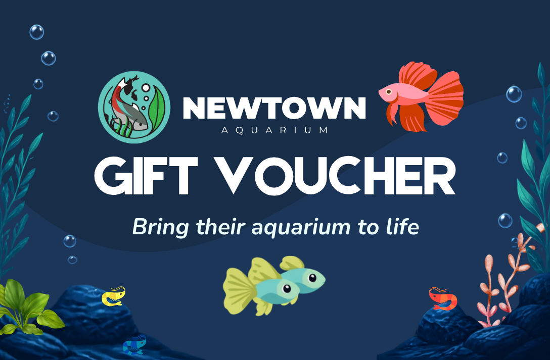 Newtown Aquarium Gift Card