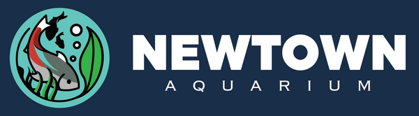 Newtown Aquarium AU