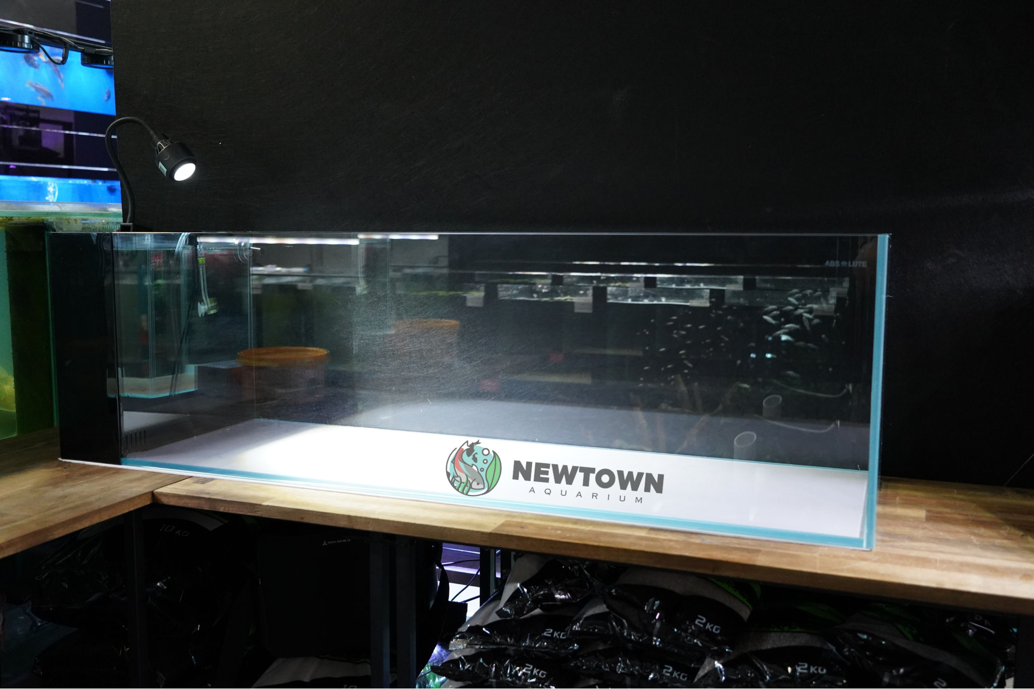 Absolute Riverina Glass Tank 122x36x36 10mm PICKUP ONLY