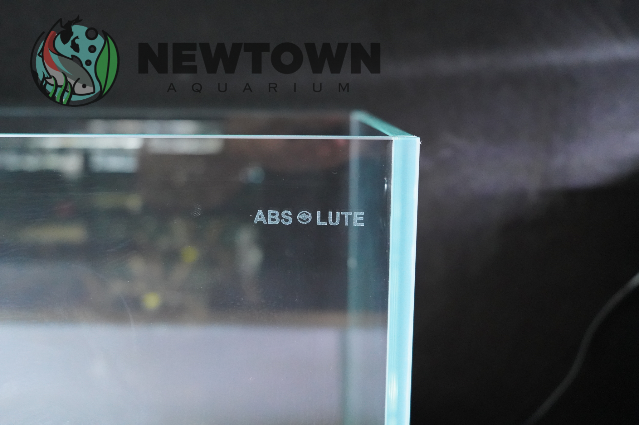 Absolute Riverina Glass Tank 80x20x20 8mm PICKUP ONLY