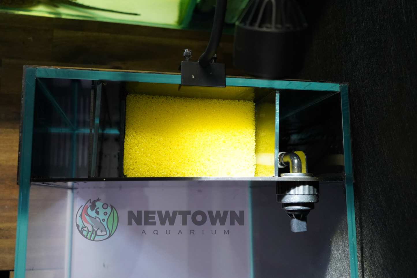 Absolute Riverina Glass Tank : RN 92x36x36 8mm PICKUP ONLY