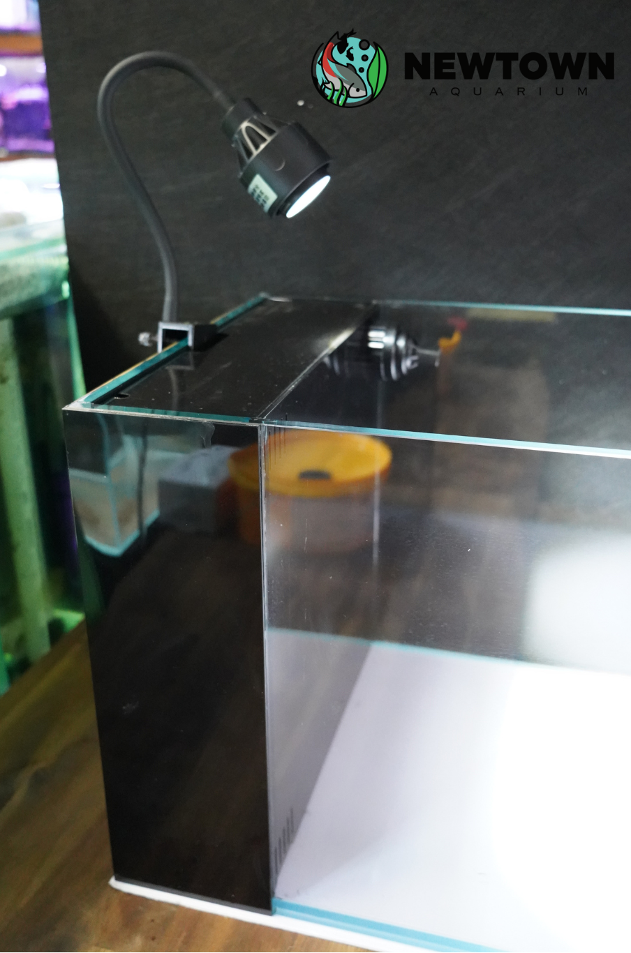 Absolute Riverina Glass Tank 122x36x36 10mm PICKUP ONLY