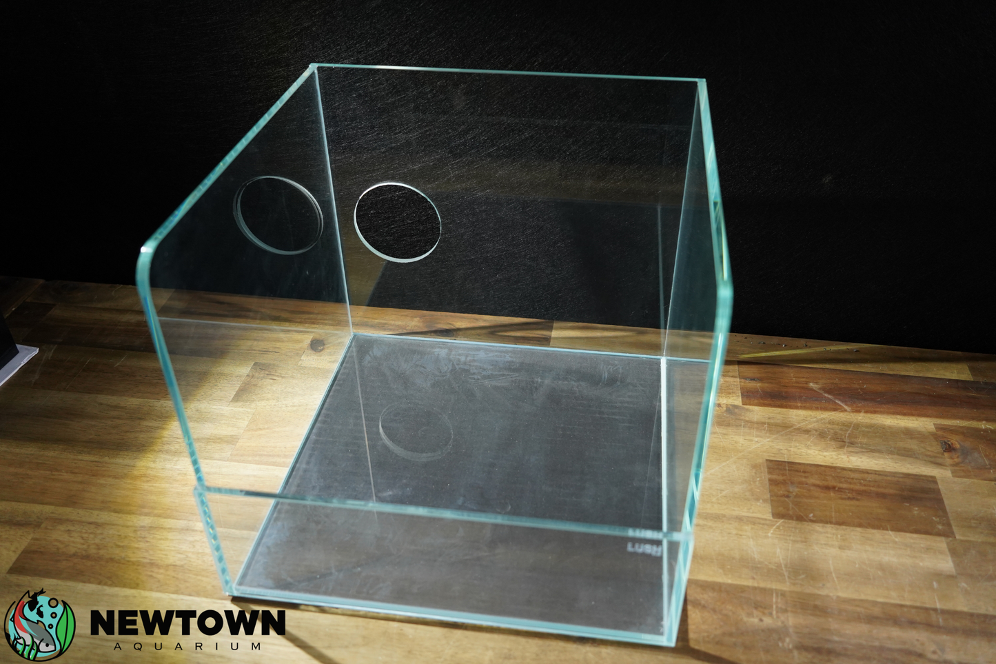 Lush Terrarium 30x30x36 PICKUP ONLY