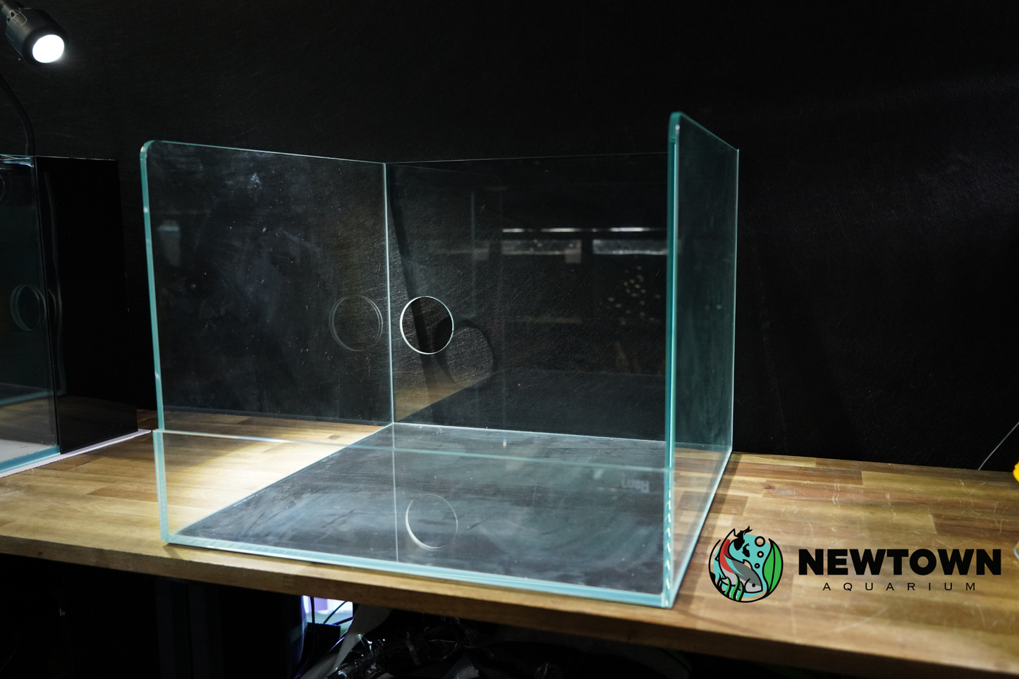 Lush Terrarium 45x45x35 PICKUP ONLY