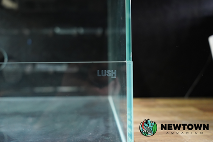 Lush Terrarium 45x45x35 PICKUP ONLY