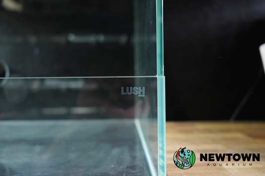 Lush Terrarium 45x45x35 PICKUP ONLY