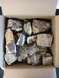AP Naturals Petrified Wood
