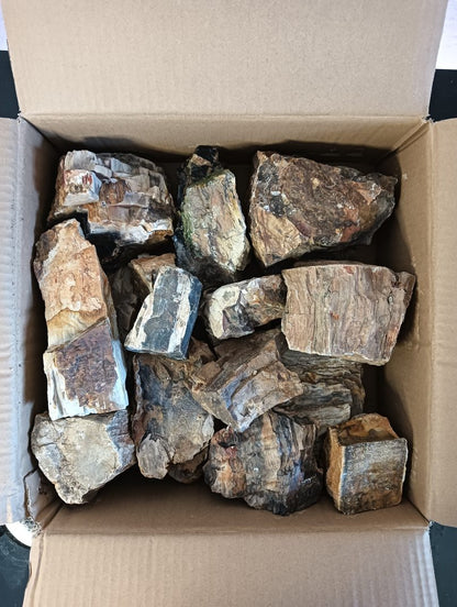 AP Naturals Petrified Wood