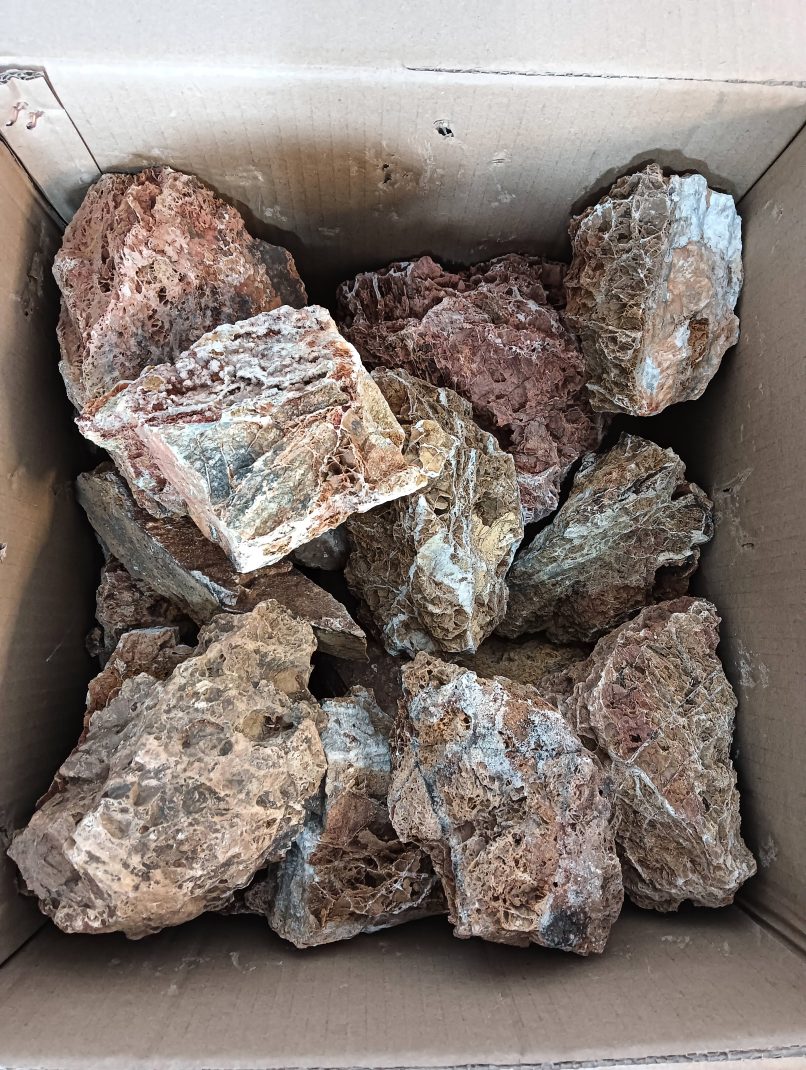Waterleaf Stone AP Naturals Maple Leaf Stone – Newtown Aquarium AU