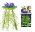 Nisso Floating Lily Purple