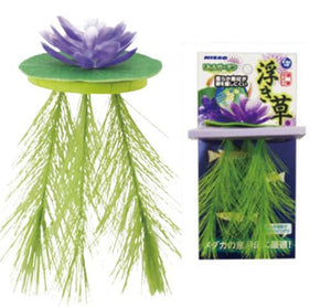 Nisso Floating Lily Purple