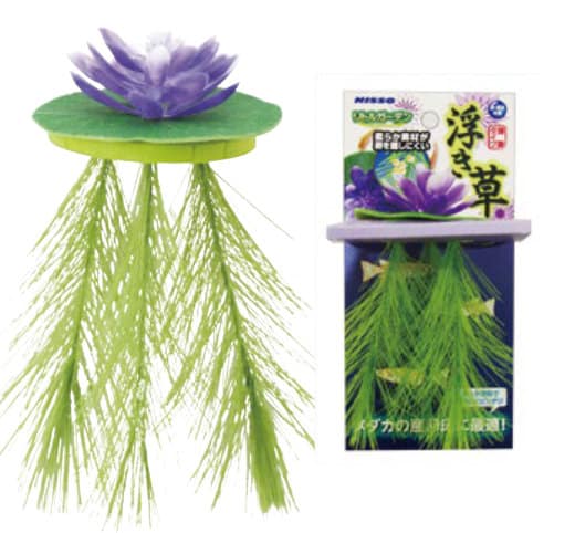 Nisso Floating Lily Purple