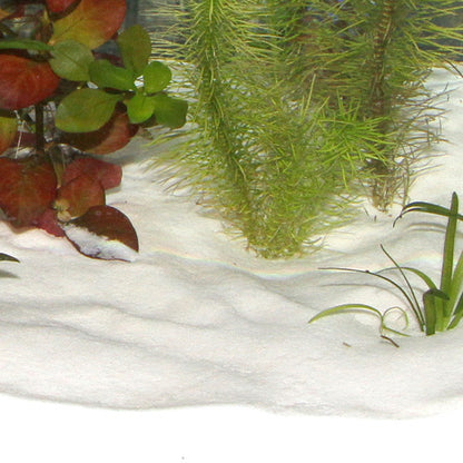 JBL Sansibar Sand Snow 5kg