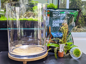 Planted Shrimp Aquarium Kit